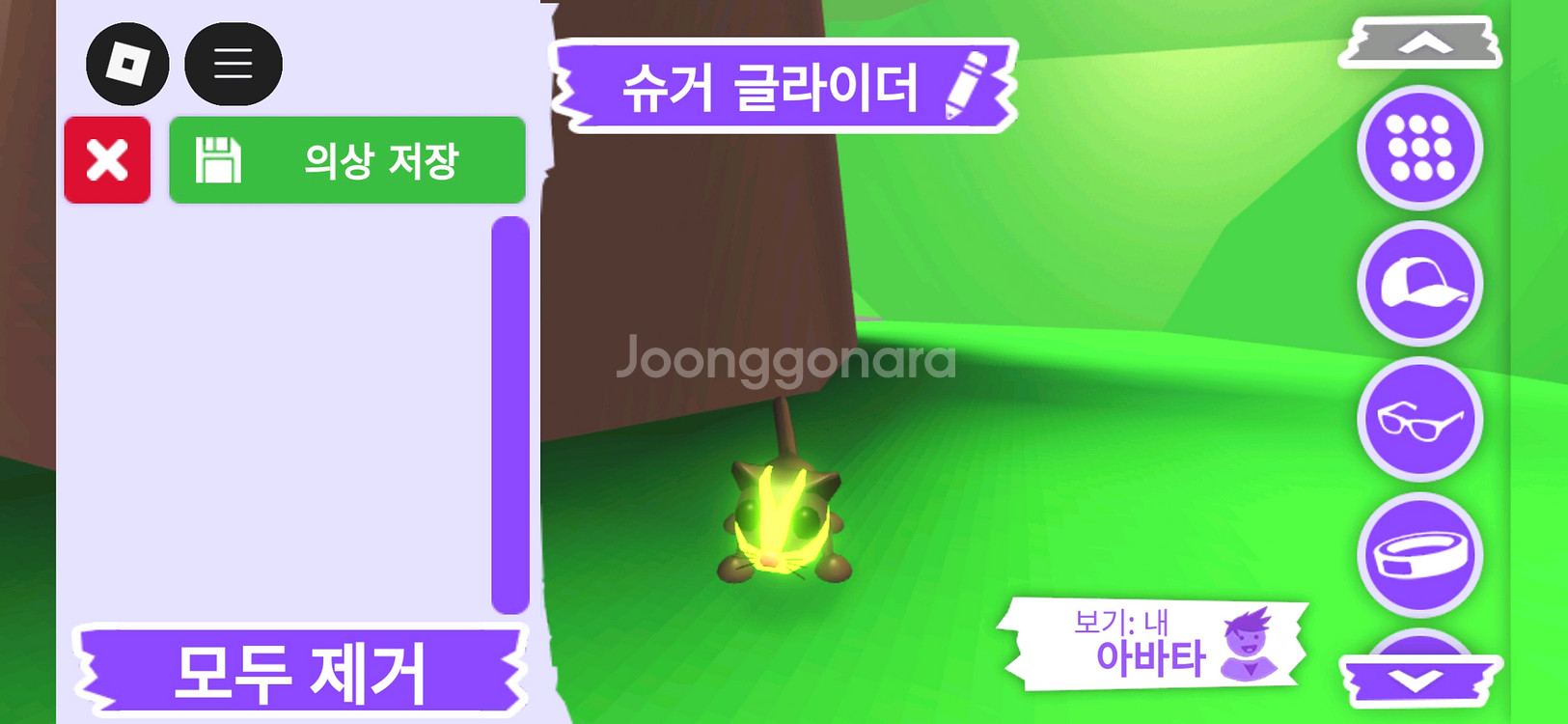 입양하세요 펫 메가네온 슈거 글라이더(메슈글)판매합니다--0