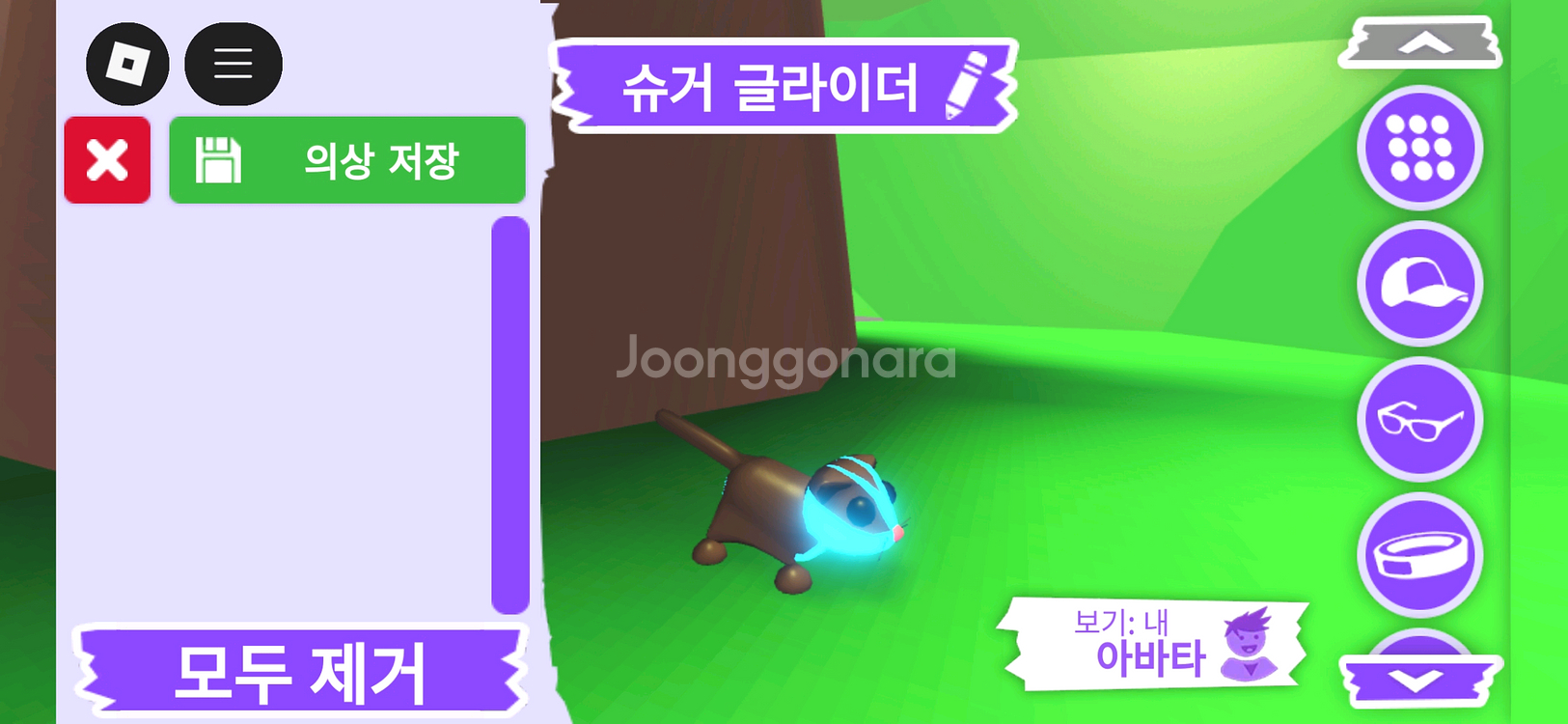 입양하세요 펫 메가네온 슈거 글라이더(메슈글)판매합니다--1