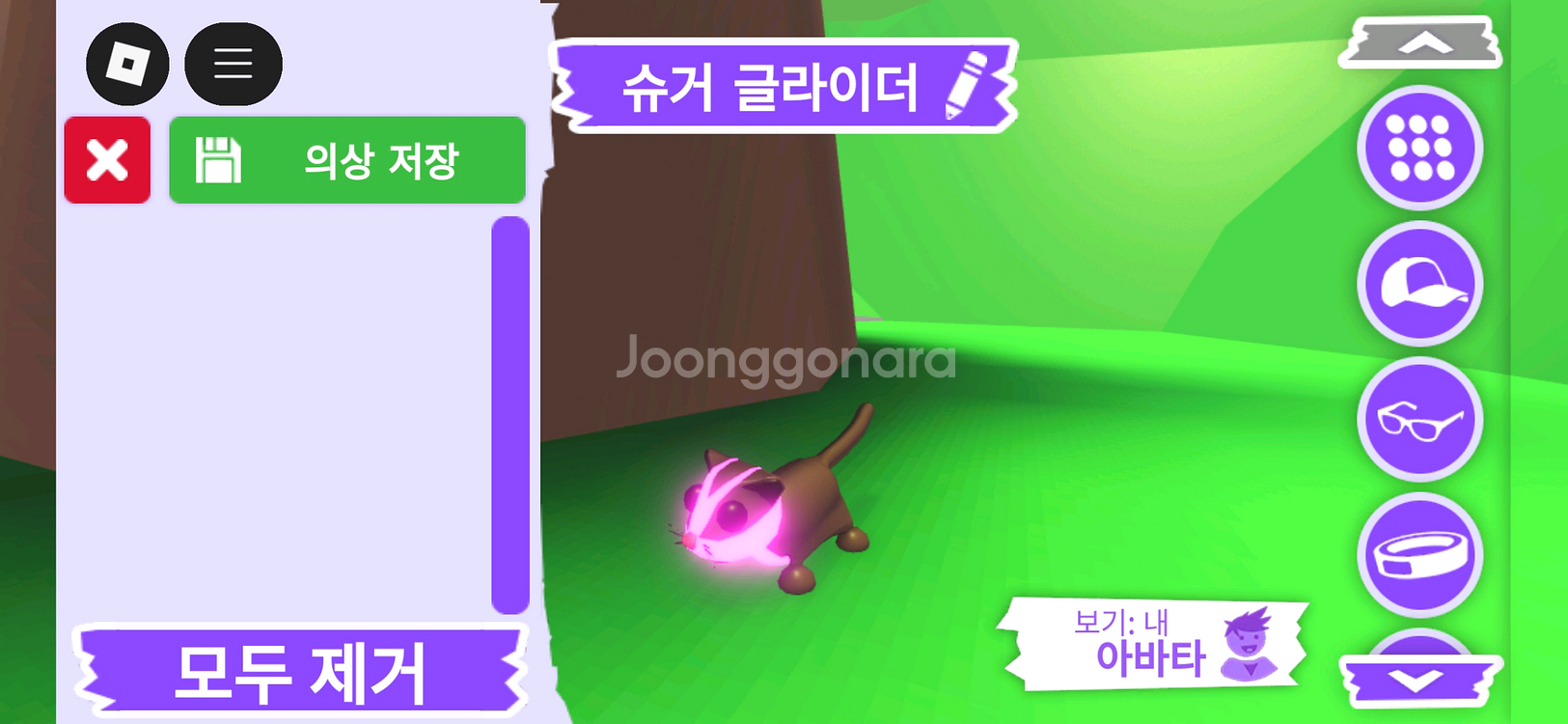 입양하세요 펫 메가네온 슈거 글라이더(메슈글)판매합니다--2