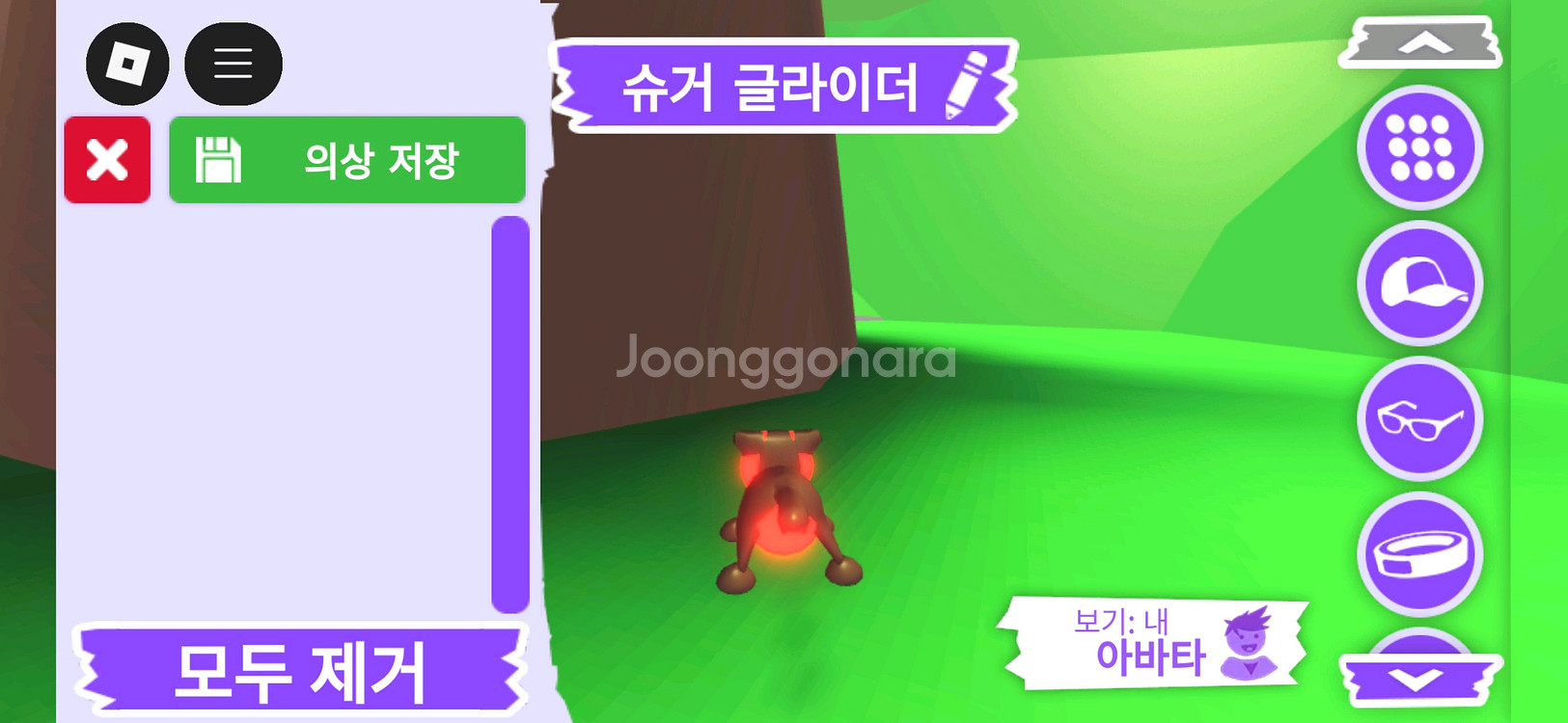 입양하세요 펫 메가네온 슈거 글라이더(메슈글)판매합니다--3