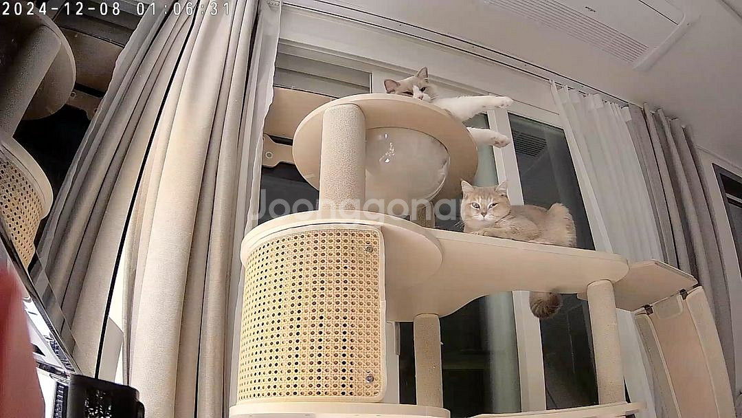 그린웨일 슈슈타워 캣타워 판매--2