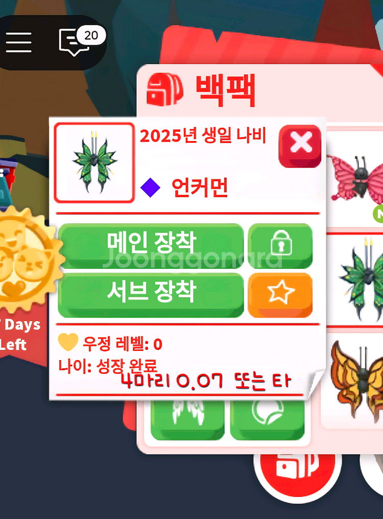 입양하세요 나비들 팝니다~:)--1