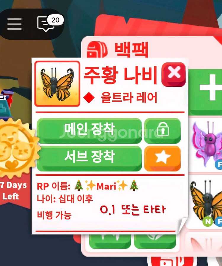 입양하세요 나비들 팝니다~:)--3