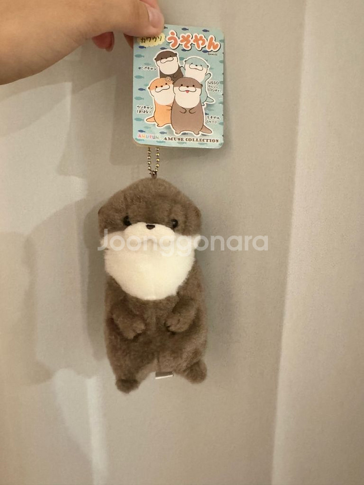 일본 마린월드 어뮤즈 우소우소짱 수달 인형 키링--0