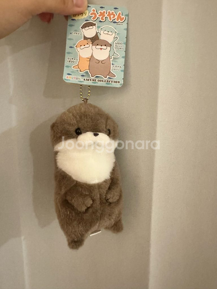 일본 마린월드 어뮤즈 우소우소짱 수달 인형 키링--1