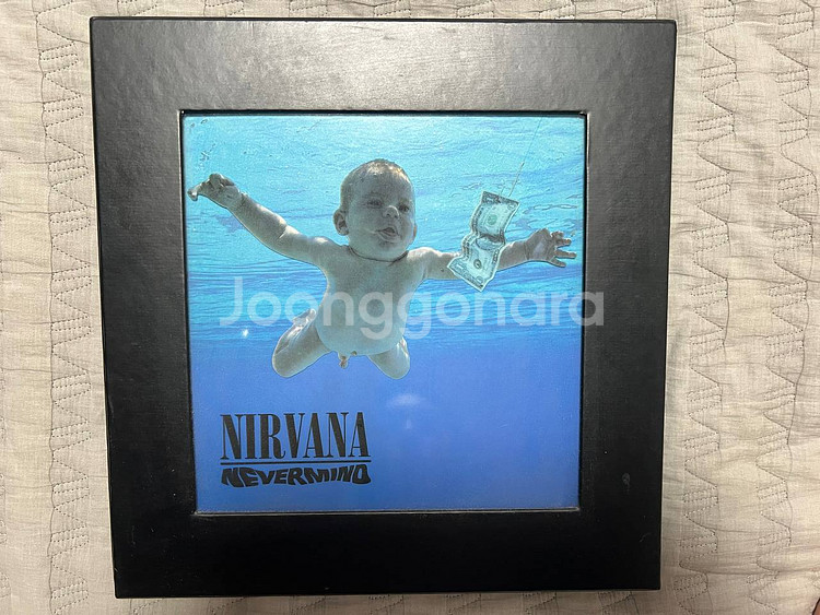 너바나 Nirvana Nevermind 20주년 한정판--0