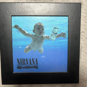 너바나 Nirvana Nevermind 20주년 한정판