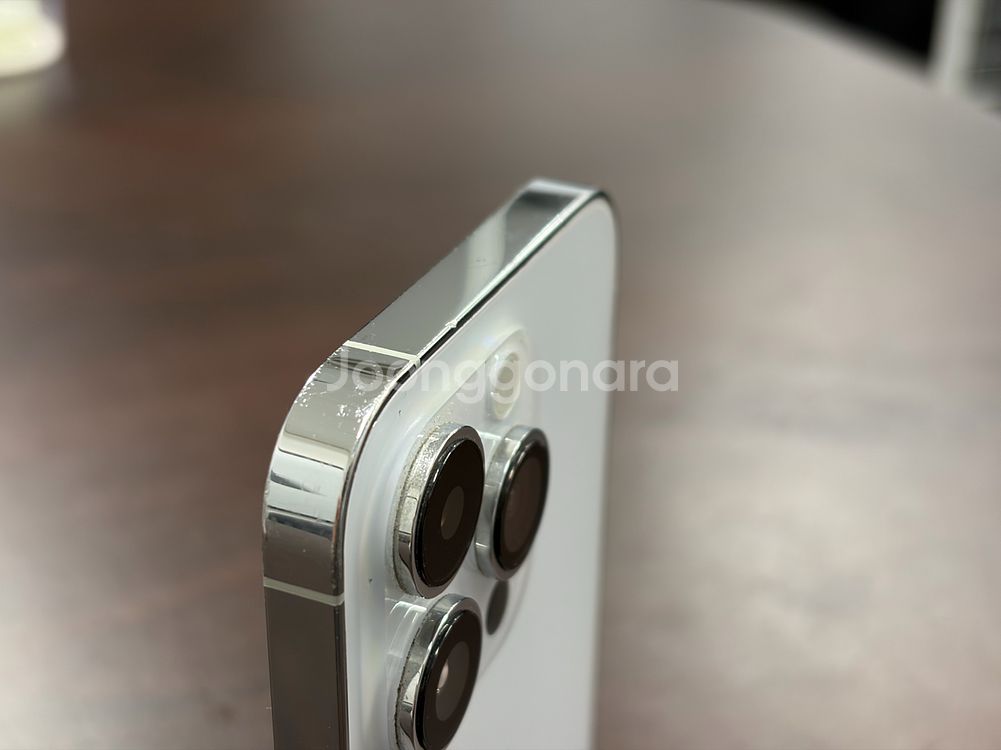 아이폰14 프로 후면파손 256GB 실버--13