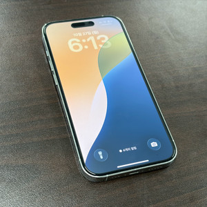 아이폰14 프로 후면파손 256GB 실버