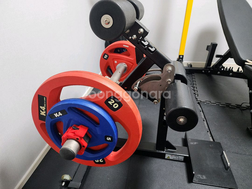 에프몬스터 레그플러스+원판 세트 판매합니다--0