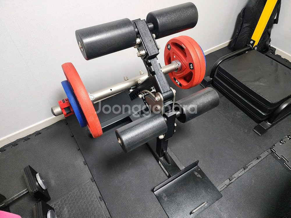 에프몬스터 레그플러스+원판 세트 판매합니다--1