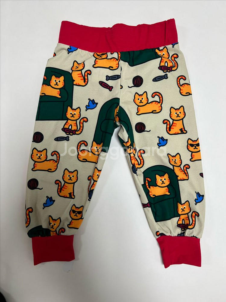 애플버터컬리지 에버컬 abc 세트 고양이 xs--2