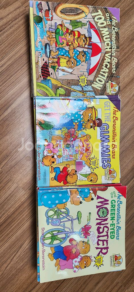 베렌스테인 베어스 세트 berenstain bears--3