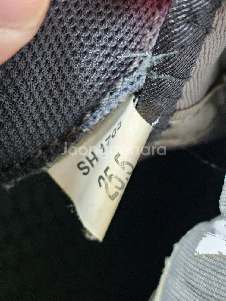 요넥스 테니스화 / 255--4