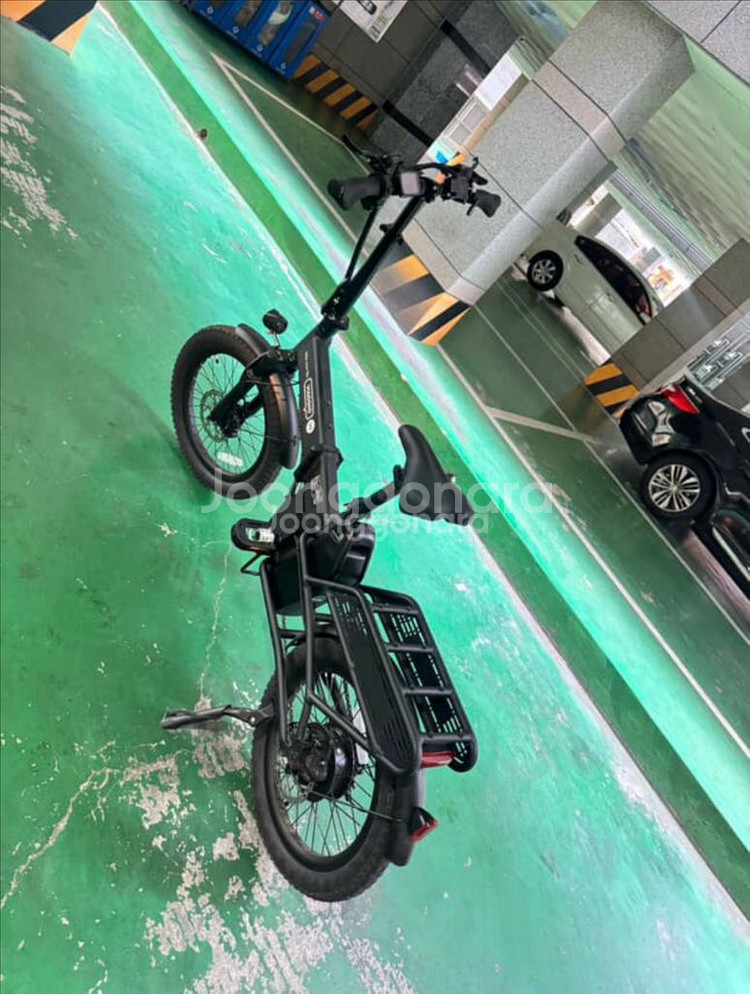 비아지오v6 전기자전거--2