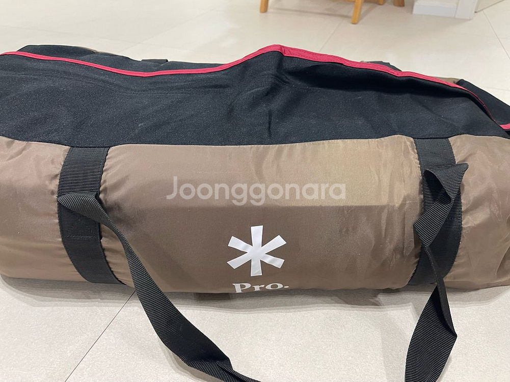 스노우피크 어메니티돔 Pro.M 60주년 텐트--1