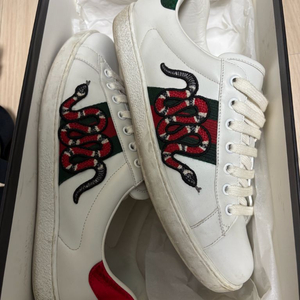 구찌 스네이크 스니커즈 풀박스 44