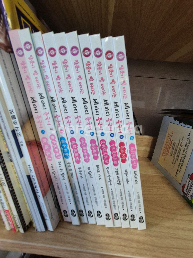 말빵세 중국어--0