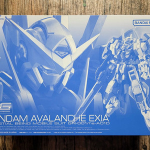 RG 아발란체 엑시아 대시