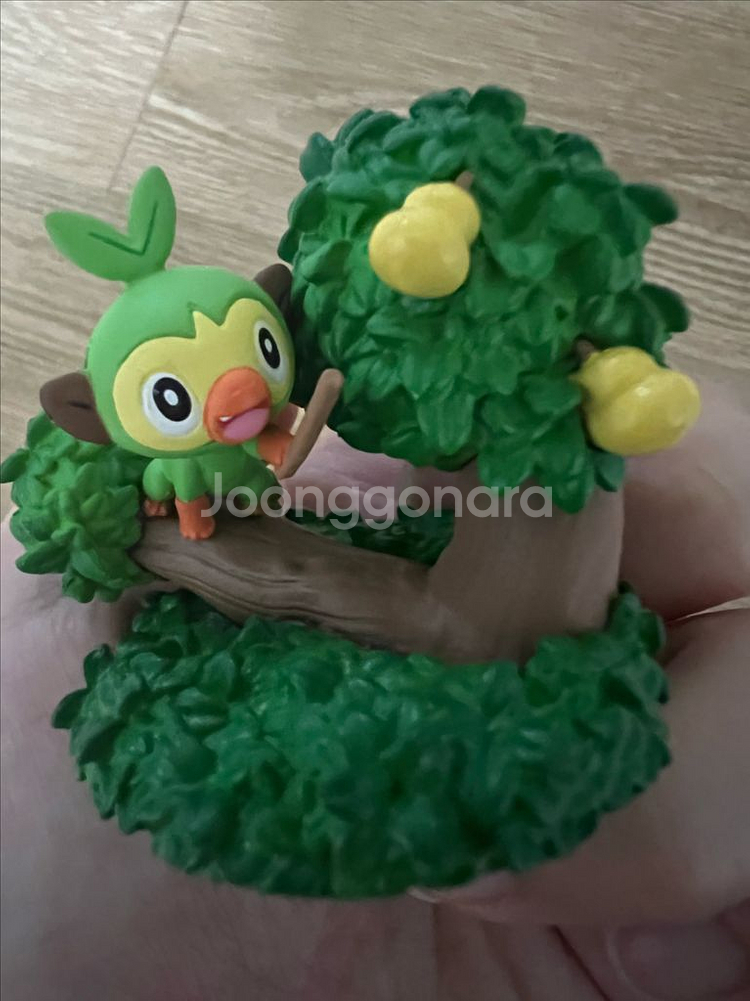 포켓몬리멘트 테라리움 흥나숭 스타팅 가라르지방--0