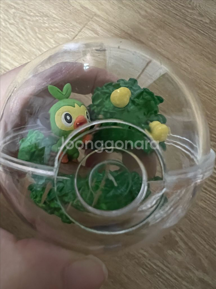 포켓몬리멘트 테라리움 흥나숭 스타팅 가라르지방--3