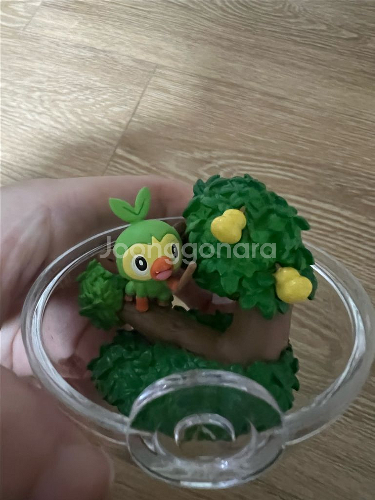 포켓몬리멘트 테라리움 흥나숭 스타팅 가라르지방--1