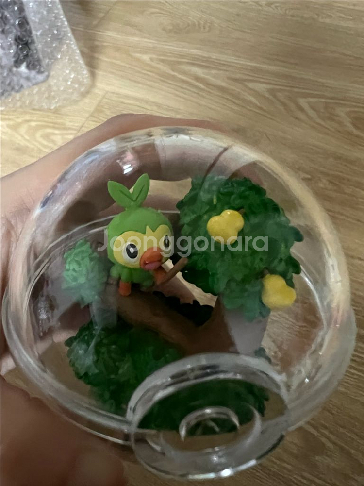 포켓몬리멘트 테라리움 흥나숭 스타팅 가라르지방--2