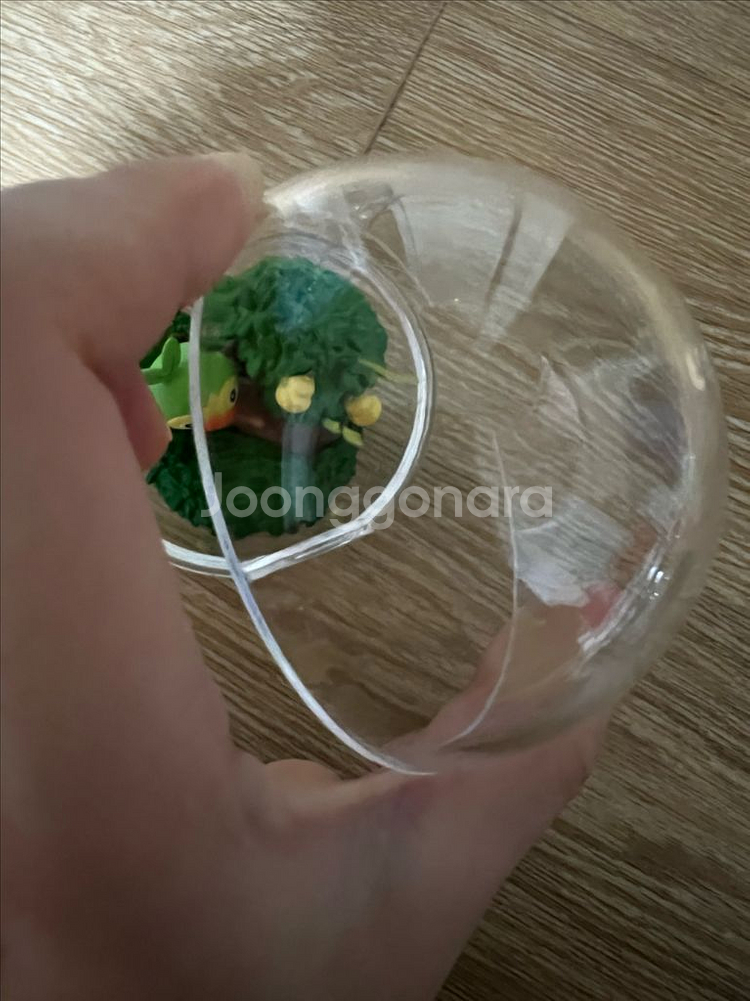 포켓몬리멘트 테라리움 흥나숭 스타팅 가라르지방--5