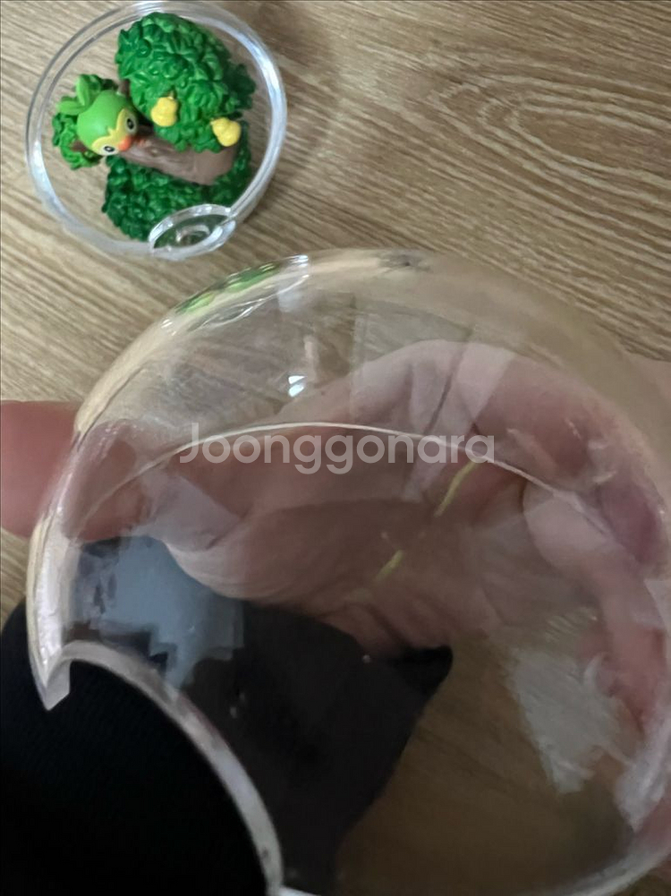 포켓몬리멘트 테라리움 흥나숭 스타팅 가라르지방--4