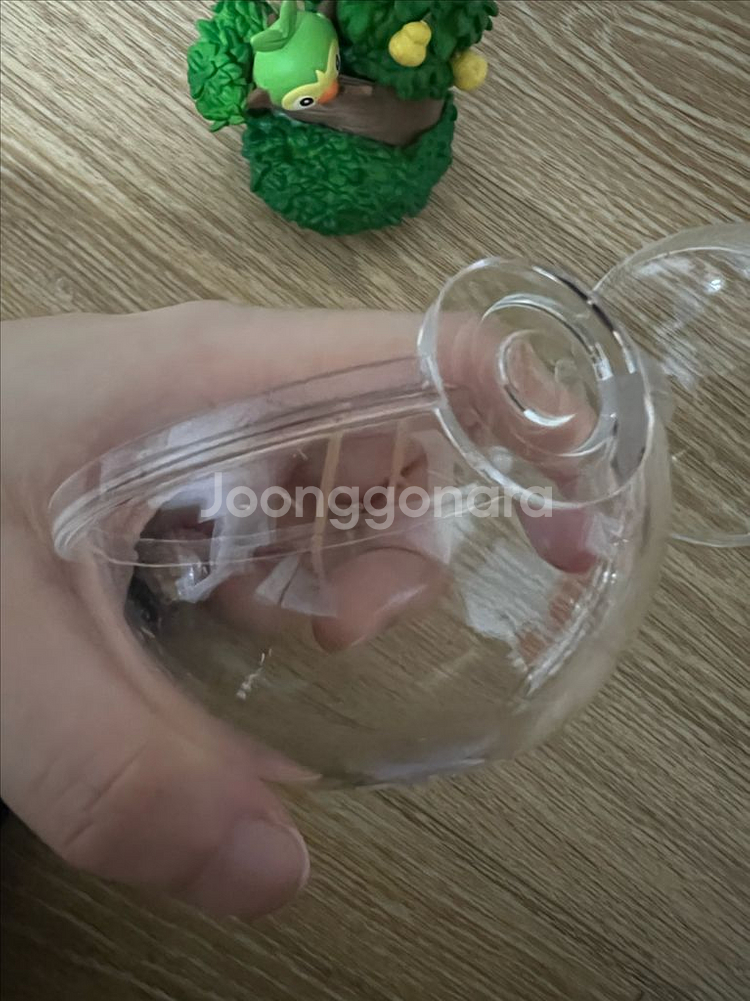 포켓몬리멘트 테라리움 흥나숭 스타팅 가라르지방--6