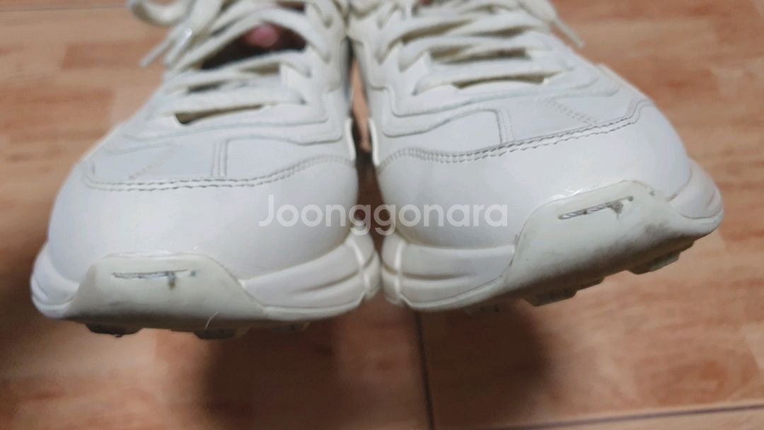 라이*ton 42(260추천)--2