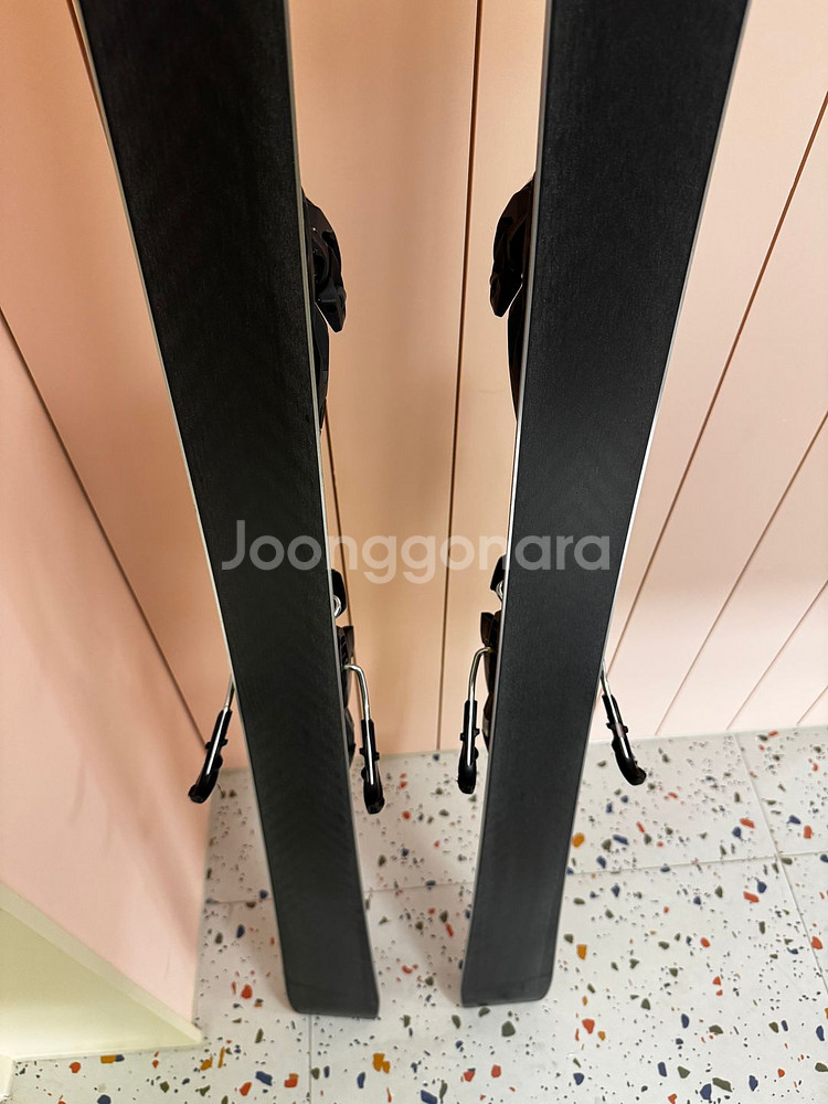 스키 레이스타이거 SC / RACETIGER SC--2