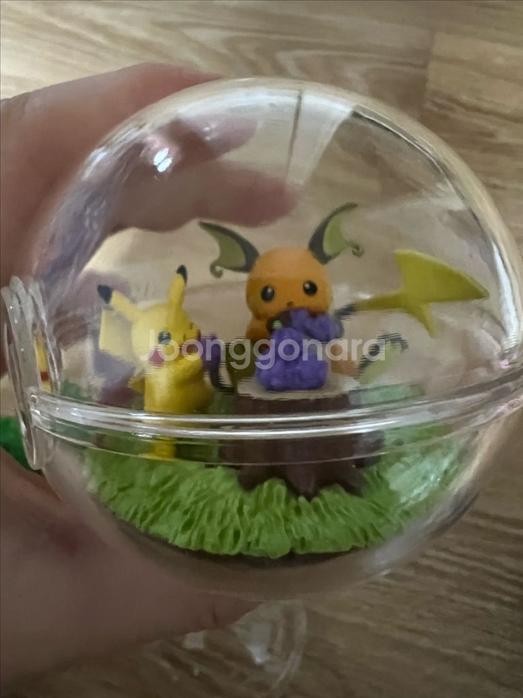 포켓몬 리멘트 테라리움 컬렉션 14 피카츄&라이츄--1