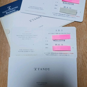 텐디 구두상품권