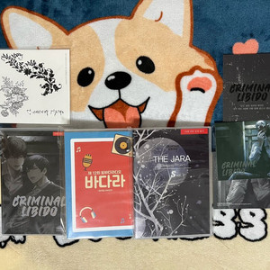 BL 드씨 크리미널 리비도