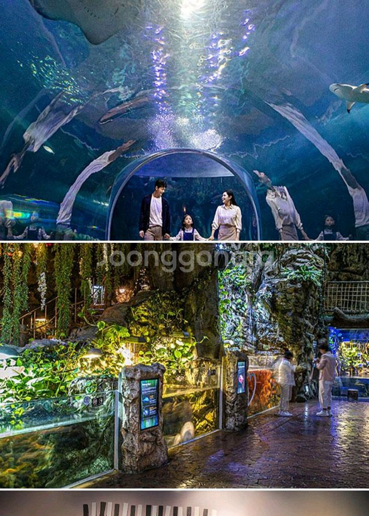 롯데월드 아쿠아리움, 서울스카이--0