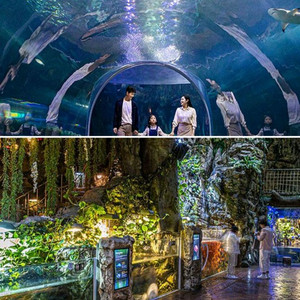 롯데월드 아쿠아리움, 서울스카이