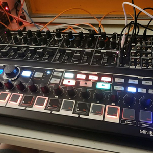 Arturia Minibrute 2s
