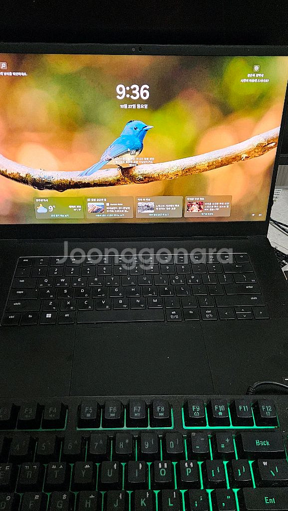 레이저 노트북 블레이드 15 rtx4060--0