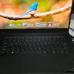 레이저 노트북 블레이드 15 rtx4060