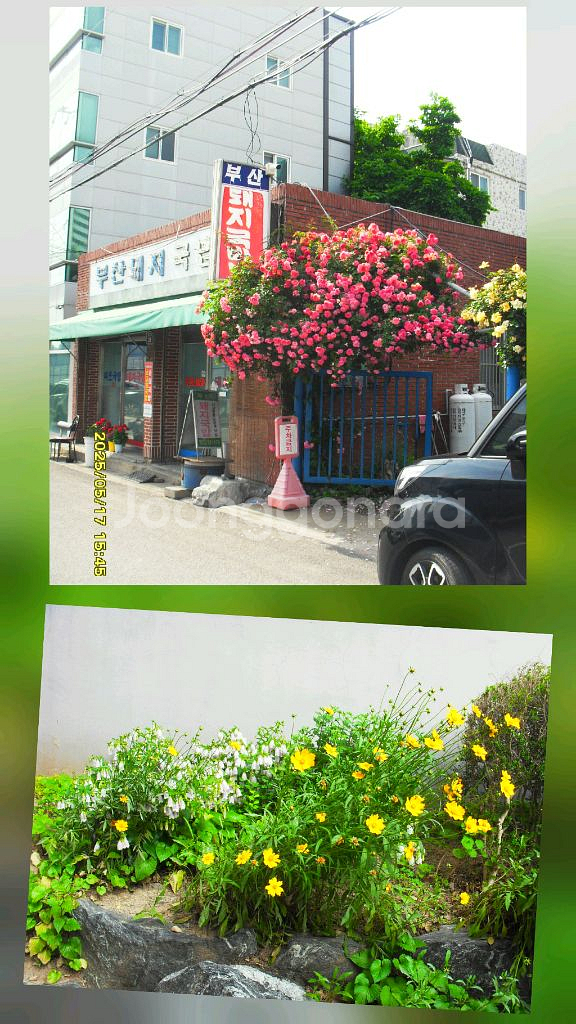 삼성 VLUU i100 디지털카메라--8