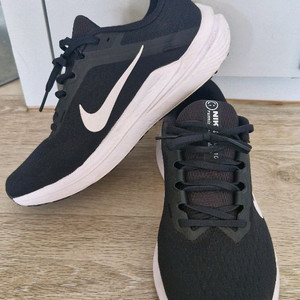 나이키 윈플로우 10 260