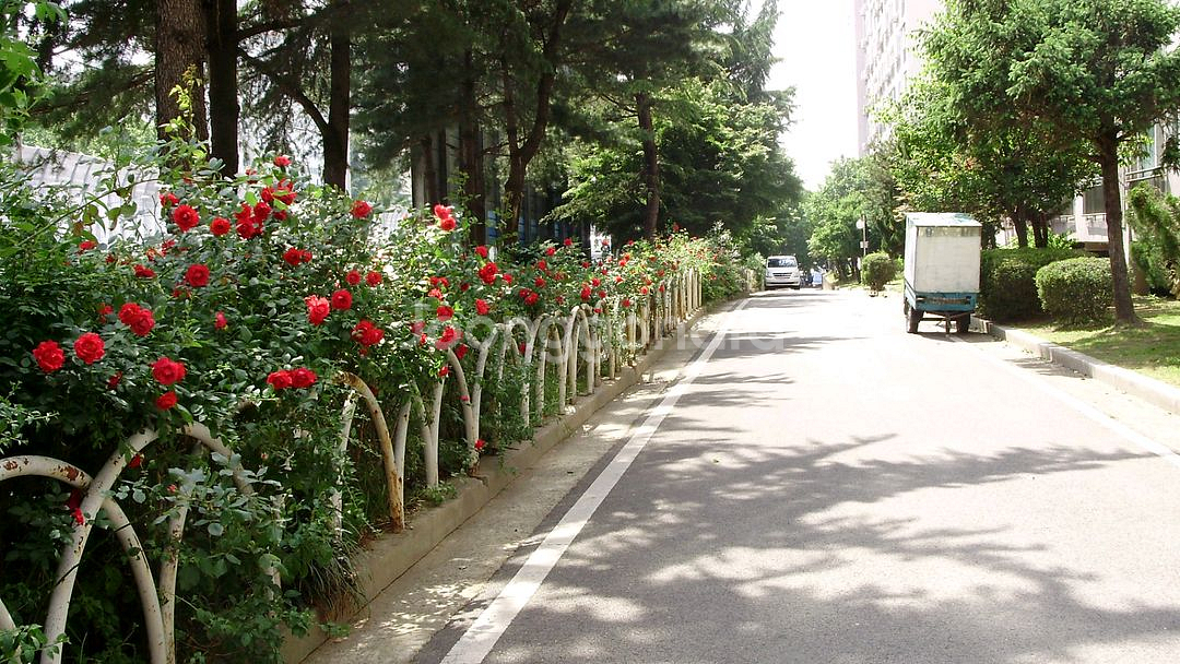 올림푸스 FE-310 디지털카메라--1