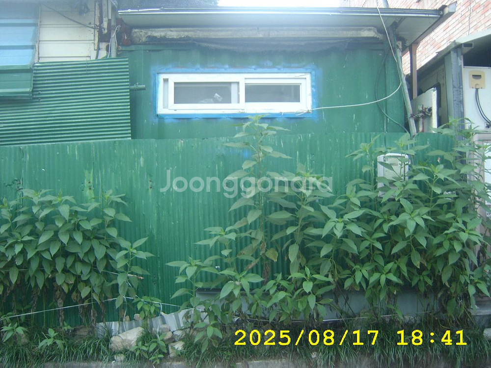 삼성 케녹스 D50 디지털카메라 빈티지디카--8