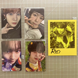 엔시티위시 료 포카 일괄