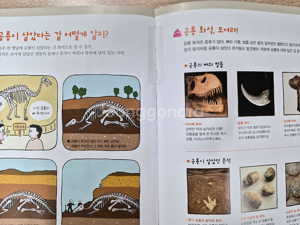 내 친구 과학공룡--1