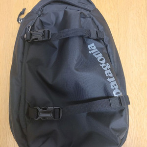 파타고니아 아톰 슬링 백