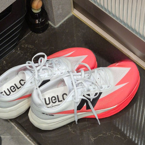 뉴발란스 엘리트V5 245 D