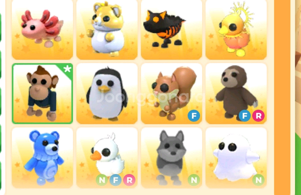 입양하세요 여러 펫--0