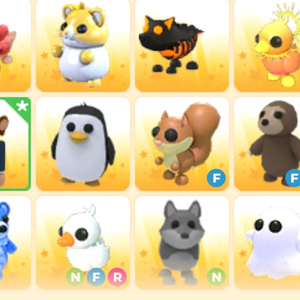 입양하세요 여러 펫